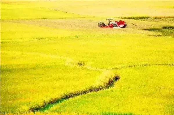 加拿大一个高度发达的国家,加拿大这个国家怎么那么发达