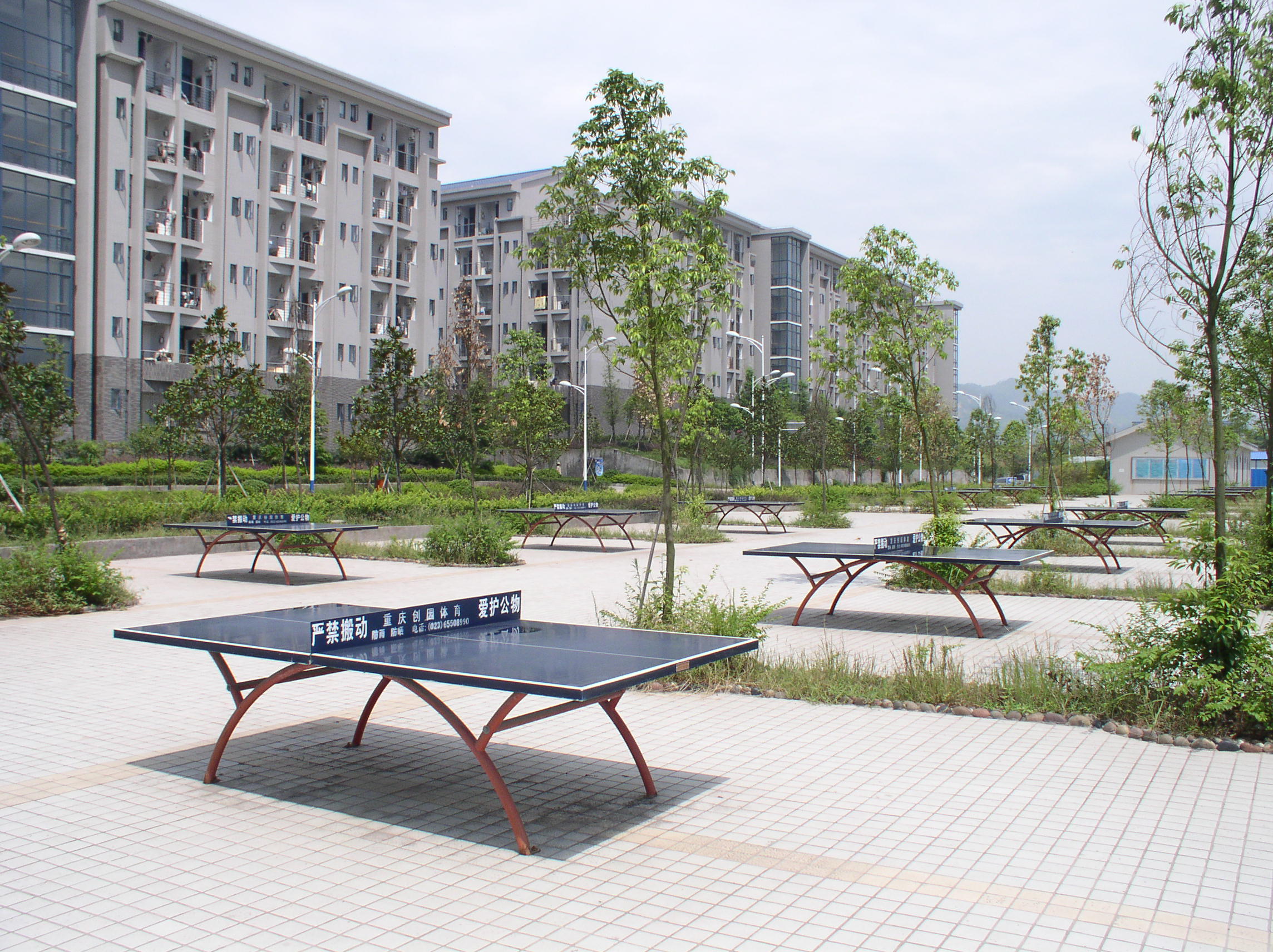 重庆大学城为什么繁华,重庆大学城20年前的样子