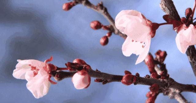 春天女性如何预防妇科炎症,怎么治疗和预防妇科炎症