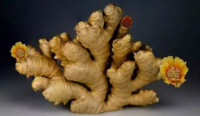 产妇月子餐可以吃葱姜蒜吗,产妇月子期间可以食姜醋吗