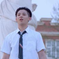 2023脱单的表情包,520表白专用表情包