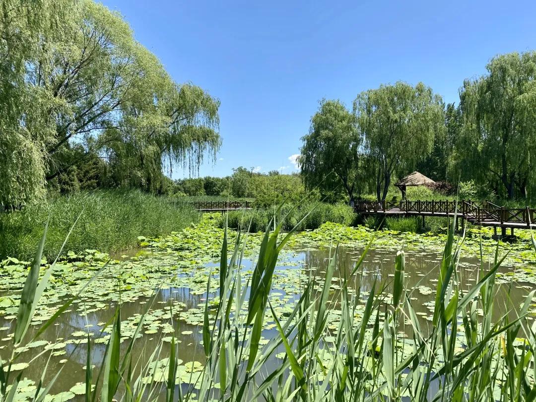 畅游通州大运河!神舟国旅携手103.9交通广播《百姓TAXI》邀请百名“的哥的姐”欢乐家庭游!