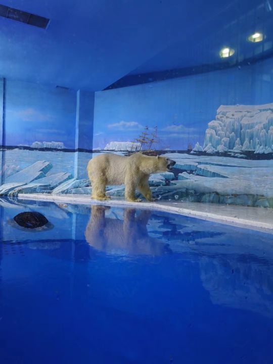 哈尔滨海拉尔呼伦贝尔旅游游记,哈尔滨漠河满洲里旅游攻略