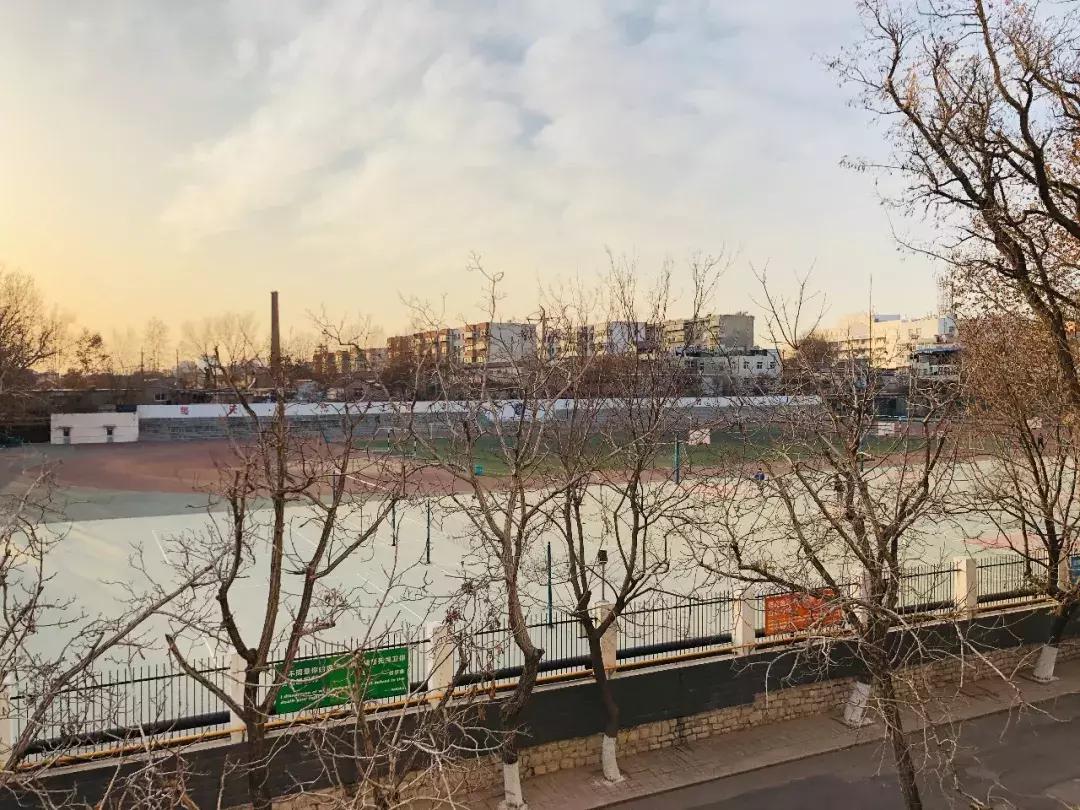 山东科技大学，不再见！