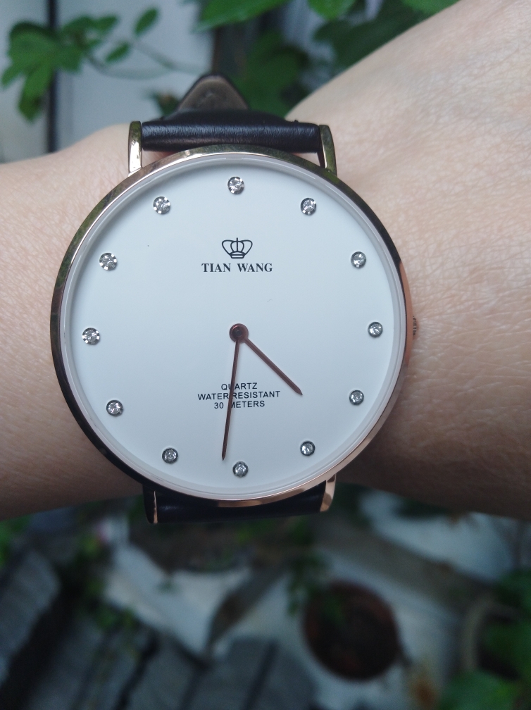 天王手表男士机械表什么样,天王手表咋样