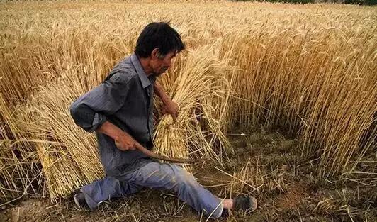 下一站，回家！回到大灌南的怀抱