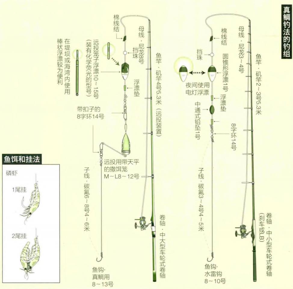 「日本专业矶钓书籍」80厘米超大真鲷鱼日本人气王鱼如何钓到