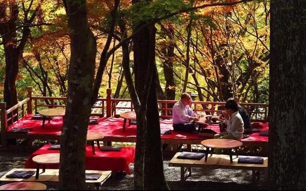 鑼舵梾璺嚎鏀荤暐,鑼舵梾璺嚎鎺ㄨ崘