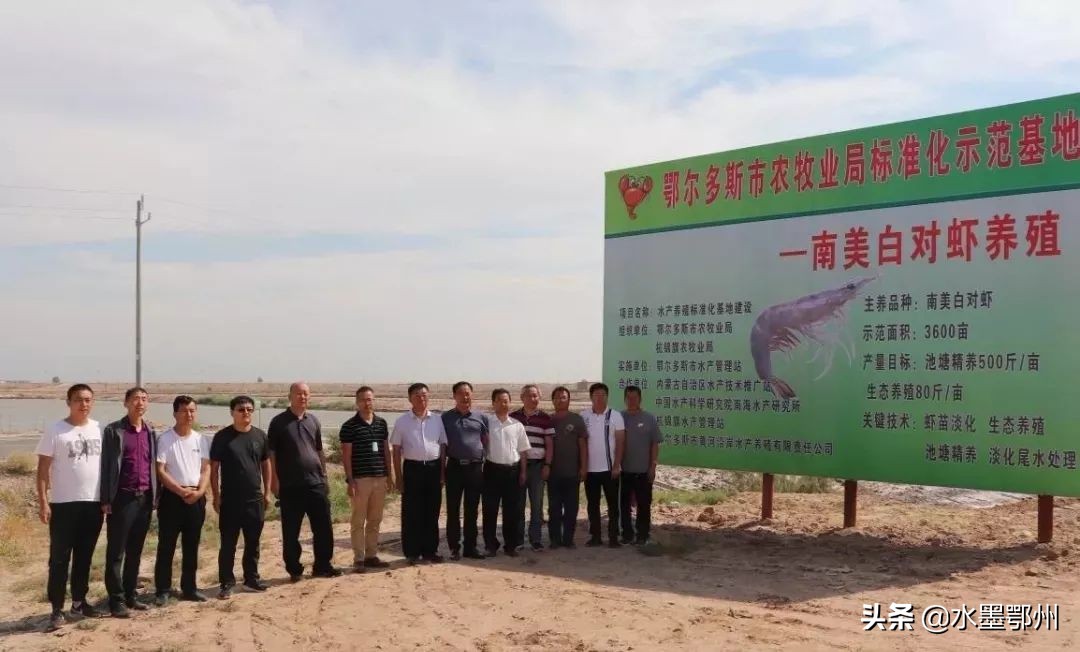 基围虾草虾算河虾吗,草虾基围虾对虾哪个贵