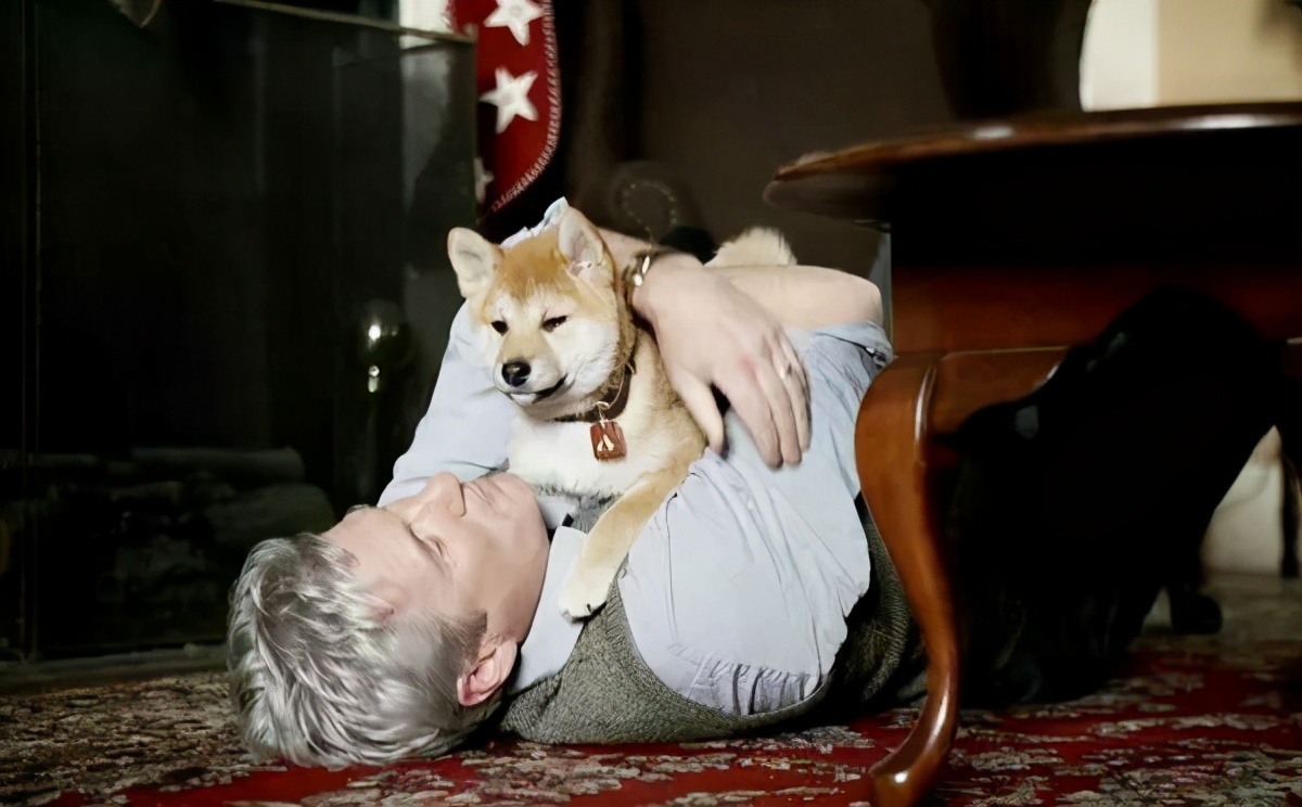 忠犬八公的故事感动的一瞬间,忠犬八公的故事温情片段