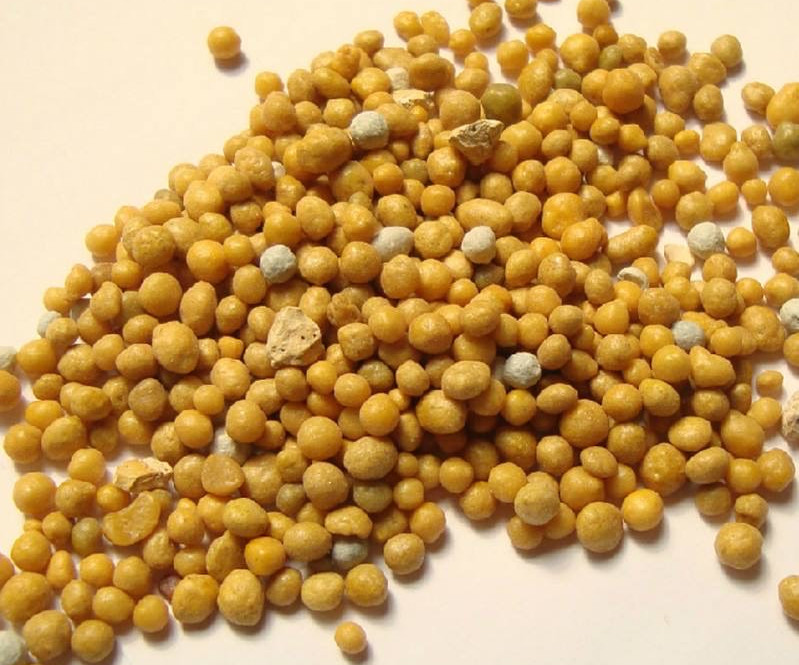 盆花怎样施肥效果好呢,花卉施肥过多怎么补救呢