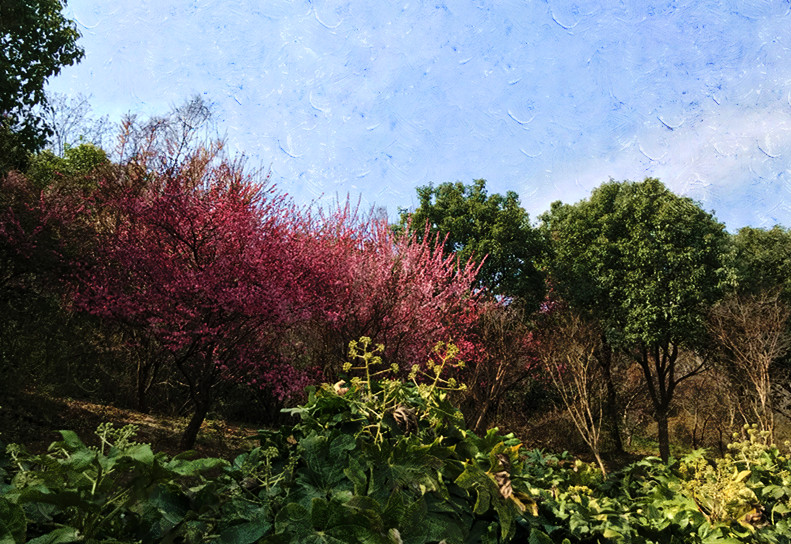 春至牛首，世凹春妆，画中徜徉，处处诗章-游南京江宁世凹桃源