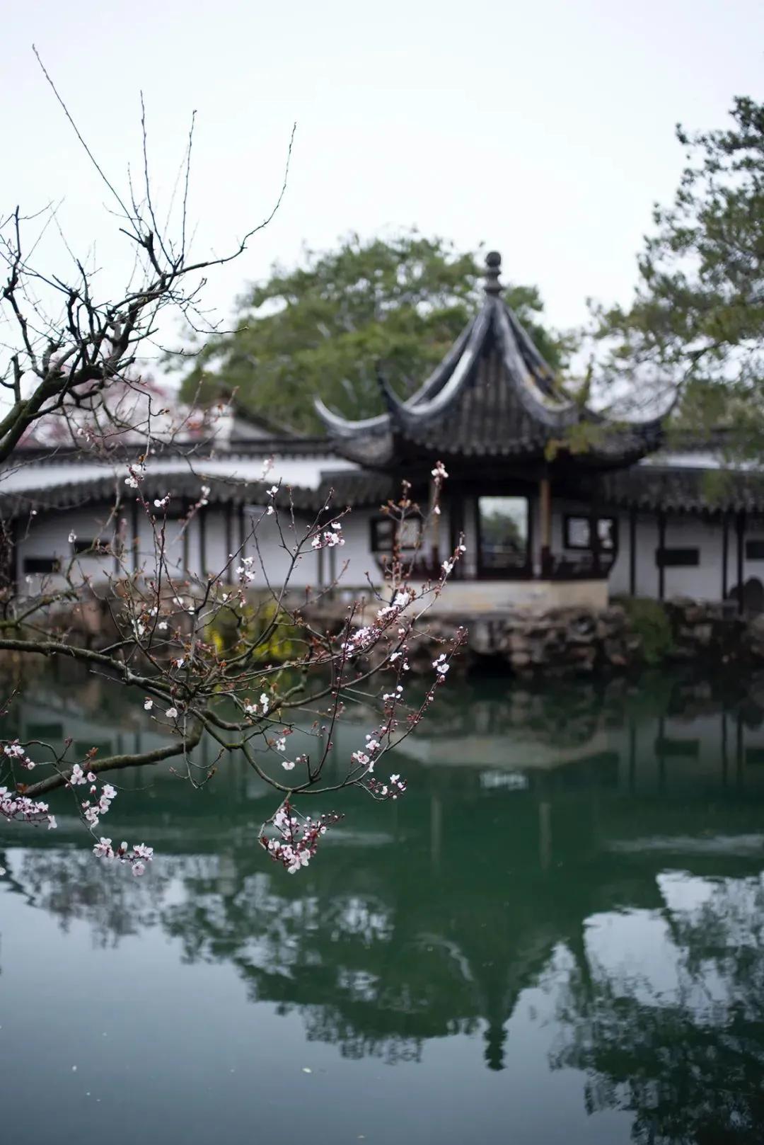 枫叶租车扬州东站店,枫叶租车苏州站店