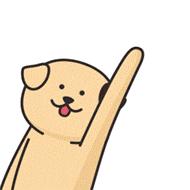 女性难言之隐不再难查!全国盆底与生殖超声临床培训基地挂牌罗湖