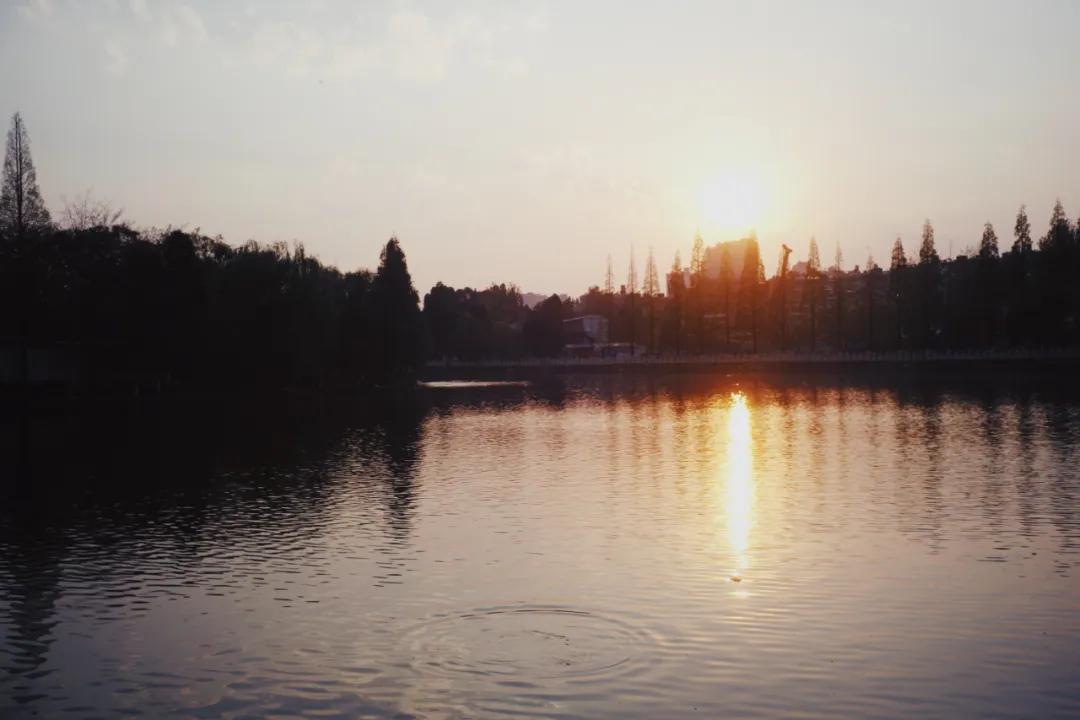 出发四季如春之地昆明,云南昆明攻略冬天