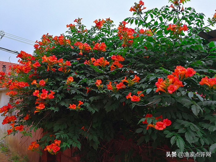 哈仙岛旅游攻略二日游,哈仙岛旅游攻略儿童