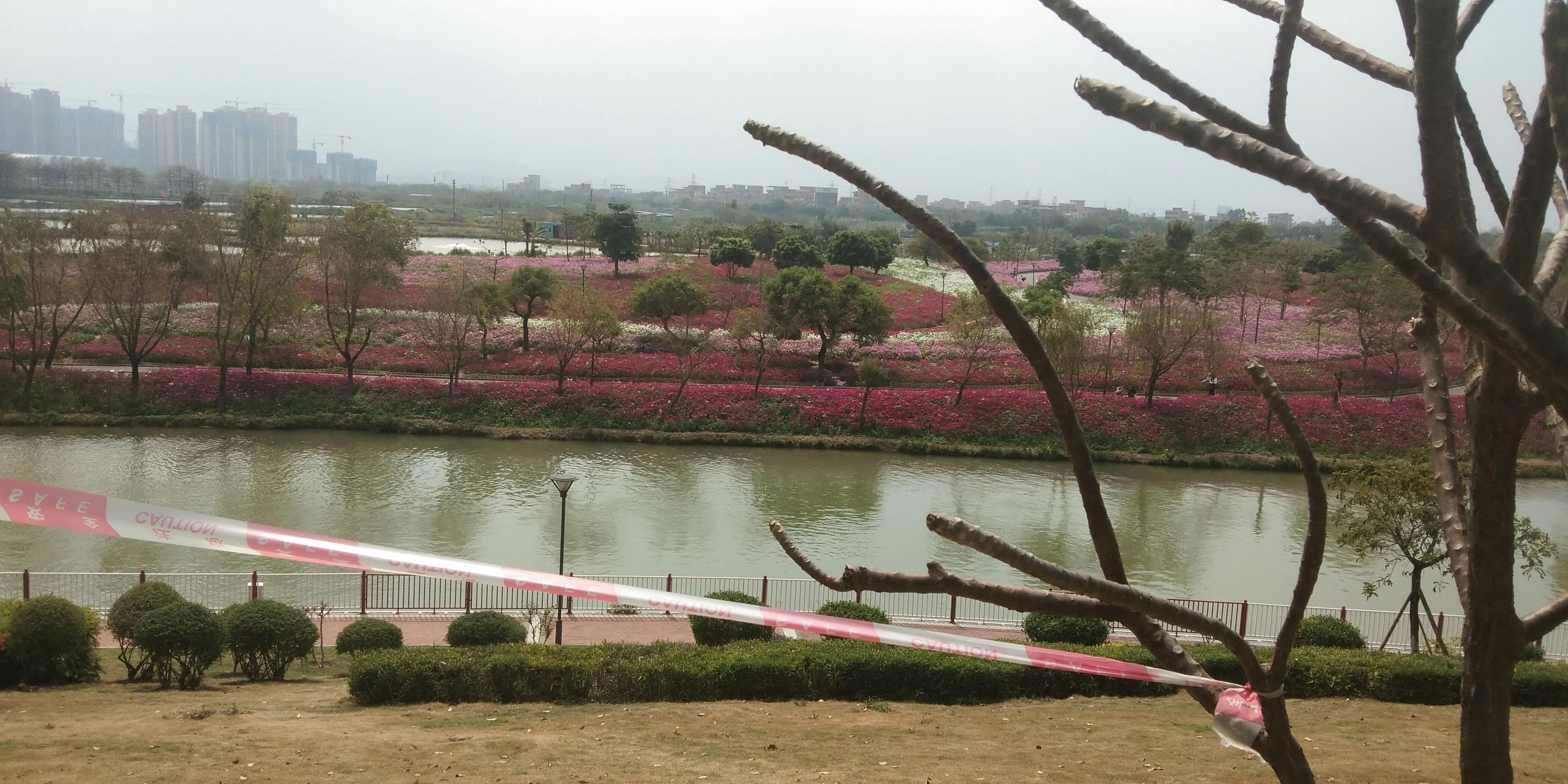 佛山高明怎样,佛山高明区很差吗