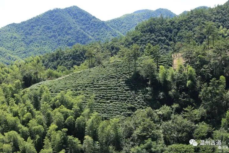 新昌盐帮古道十八渡徒步时间,新昌盐帮古道旅游攻略