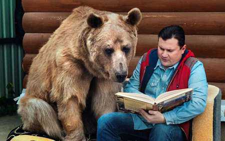 超大超软的可爱熊,可以当做宠物的熊是什么熊