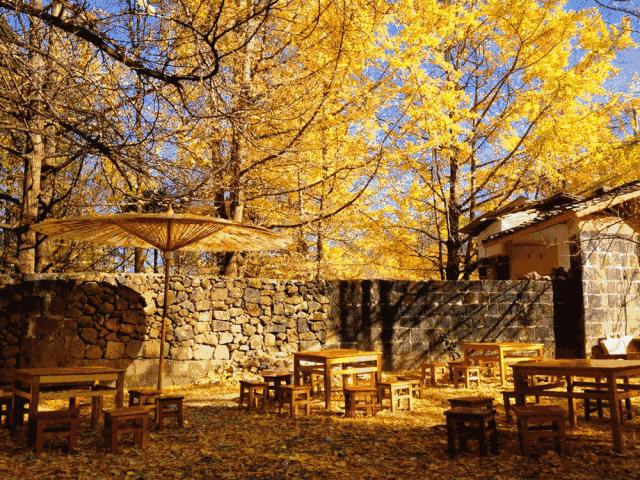 腾冲金玉堂,腾冲和顺古镇金玉堂