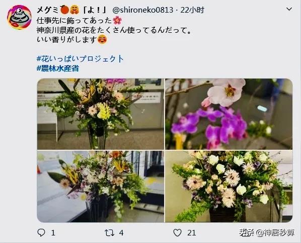 当官不为民做主,不如回家卖红薯,日本公务员疫情期间的带货之路