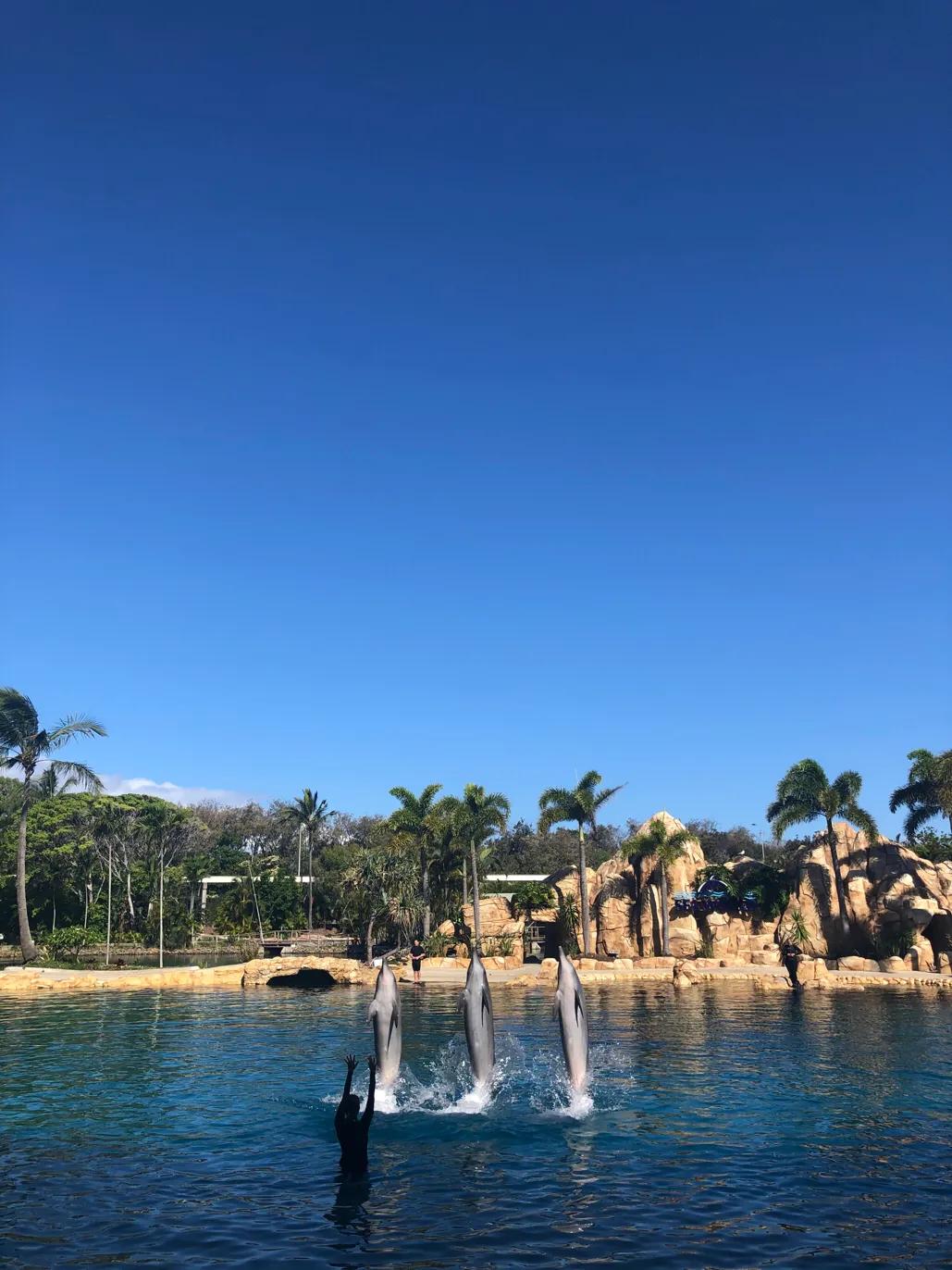 澳洲黄金海岸水上世界景点,澳洲黄金海岸有什么好玩的吗