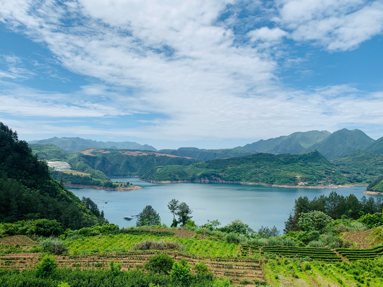 遂昌仙峡湖网红绿道在哪里,遂昌仙峡湖