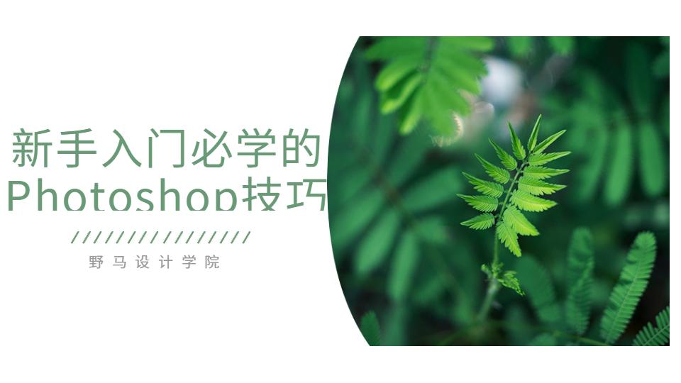 ps常用功能顺口溜,ps中的五个必备小技巧