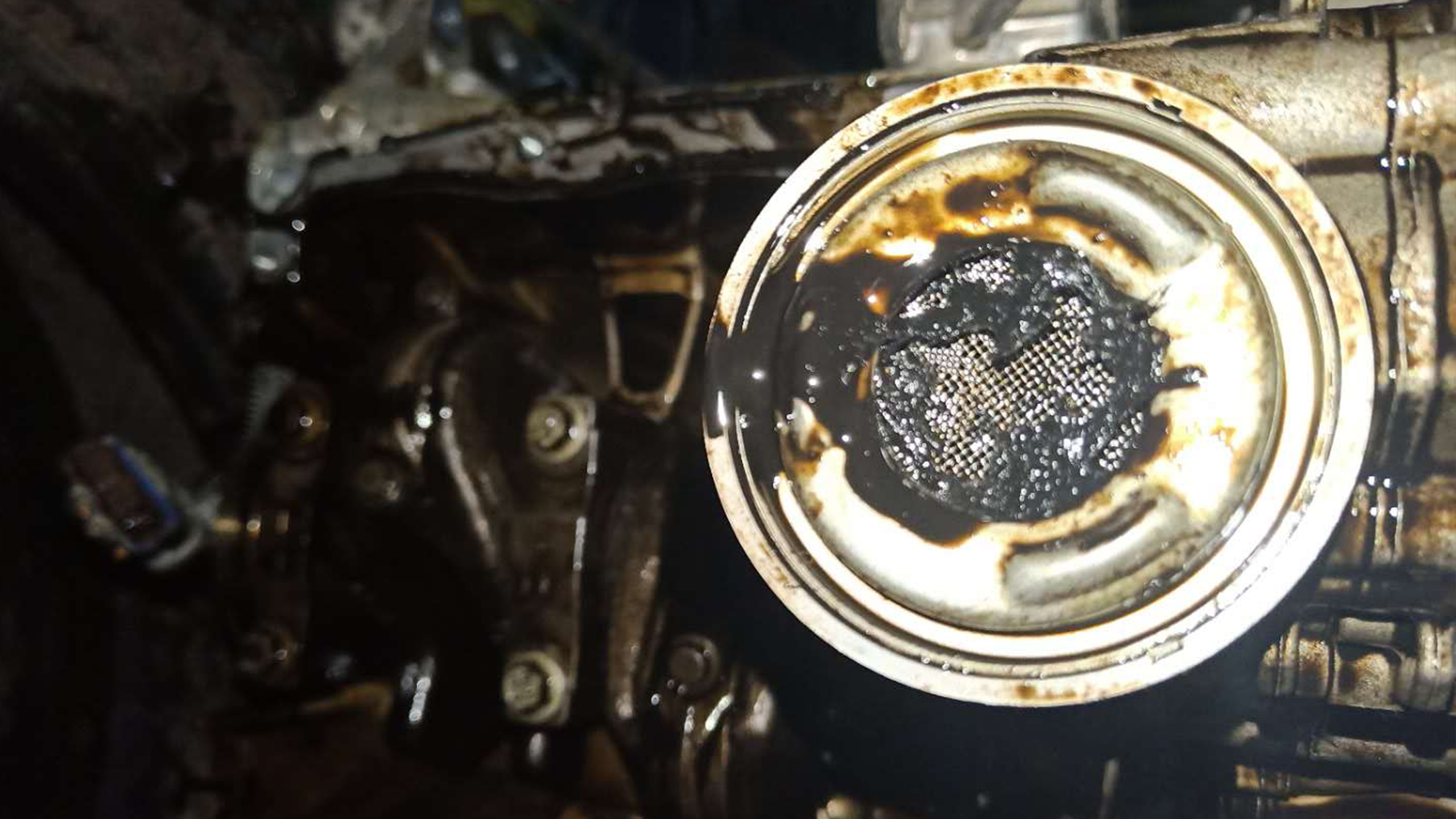 机油咋选不假,雪铁龙天逸c5原厂机油品牌型号