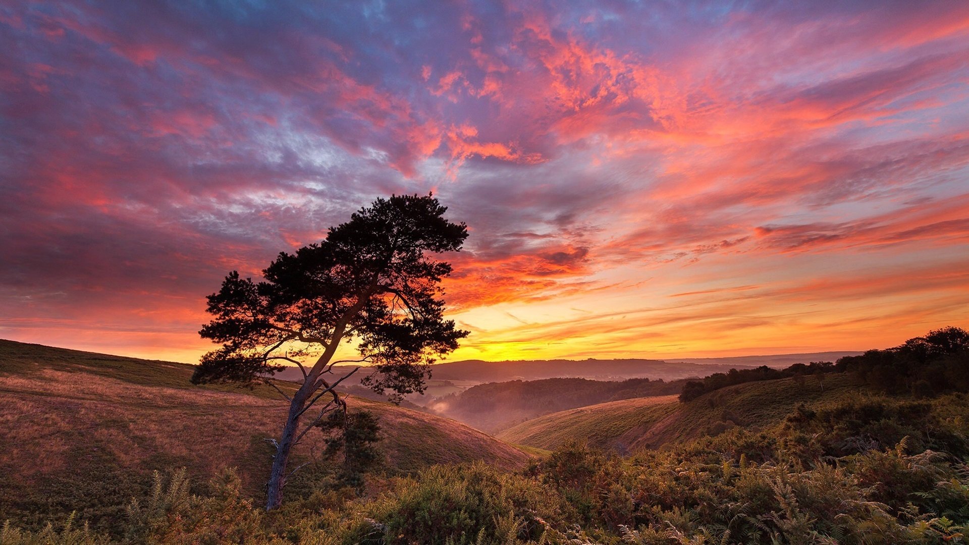 1920x1080超高电脑壁纸风景,1920x1080超清电脑壁纸风景