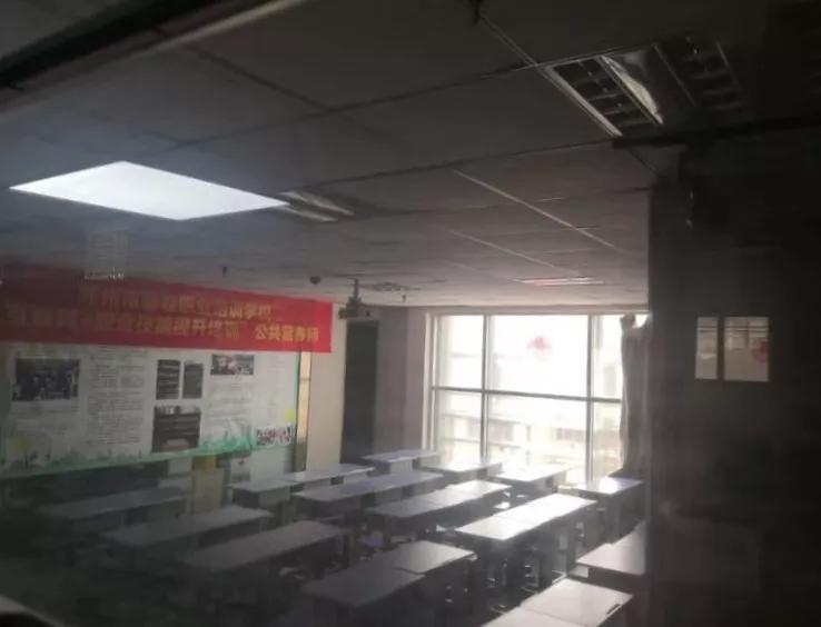 熟蛋返生事件最新进展,熟蛋返生事件