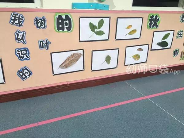 绉嬪ぉ涓婚鍖哄煙娲诲姩璁捐鏂规,绉嬪ぉ涓婚璇剧▼娲诲姩鏂规璁捐