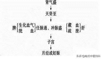 为什么好多年轻女性多囊,多囊女孩怎么回事