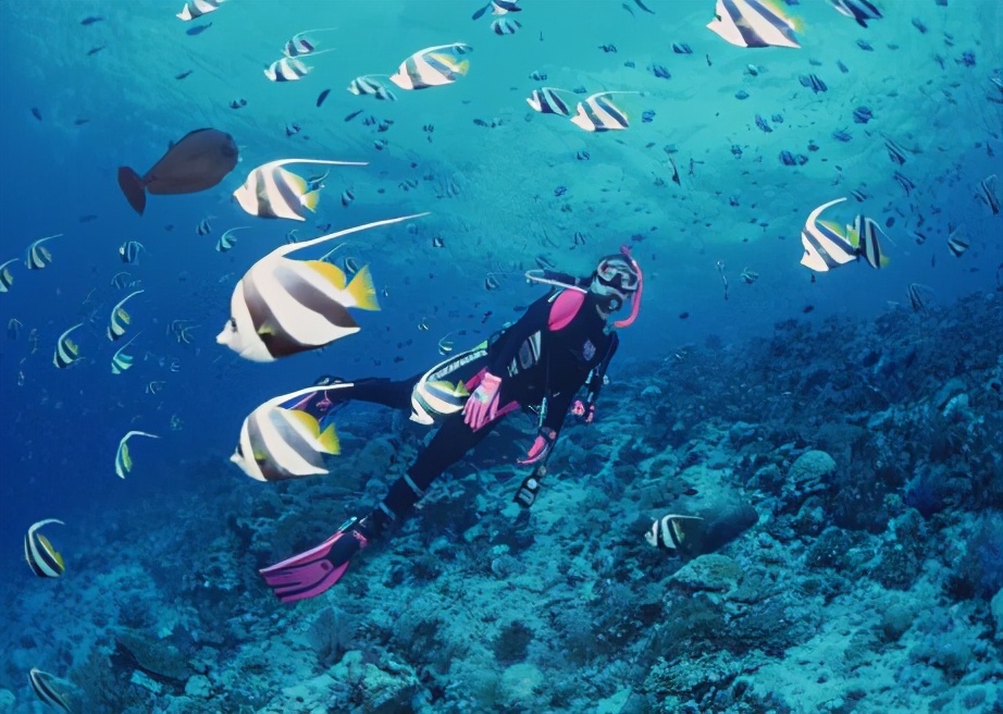 奇特的海岛风光海上明珠,一座小岛藏着不为人知的绝美风景