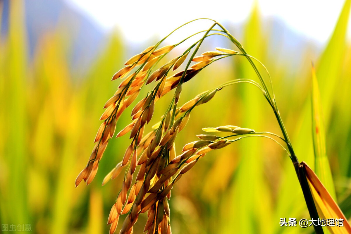 浙江最“硬”的地方,为什么是永康?