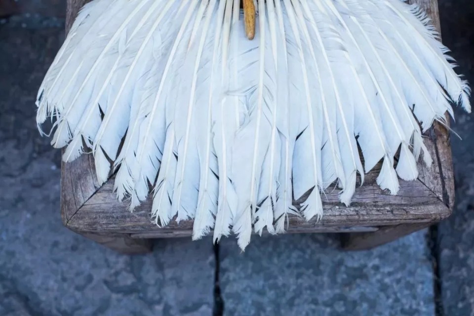 富含人生哲理的古文长一点,古文中的九种人生哲理