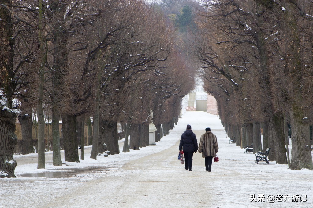 老乔一家人最新视频,农村老乔一家三口