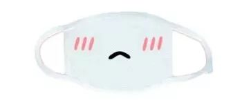 泉州卖口罩诈骗10万被抓,破获一起口罩诈骗案