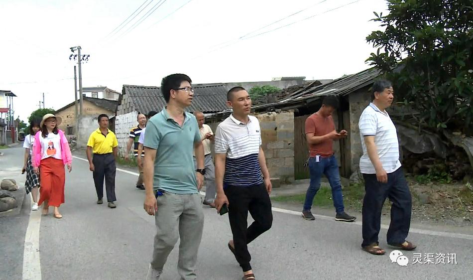 你个笨鸟，这些东西让你全部“弄死了”