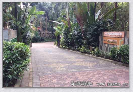 塘厦拓展训练营,塘厦彩弹