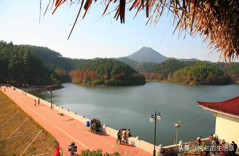 森林养生基地一览表,森林公园养生胜地