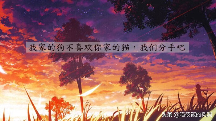 男子被分手的奇葩理由,男女那些奇葩的分手理由你见过吗