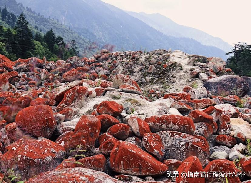 川西不止稻城亚丁：欢迎来到异世界的神秘入口