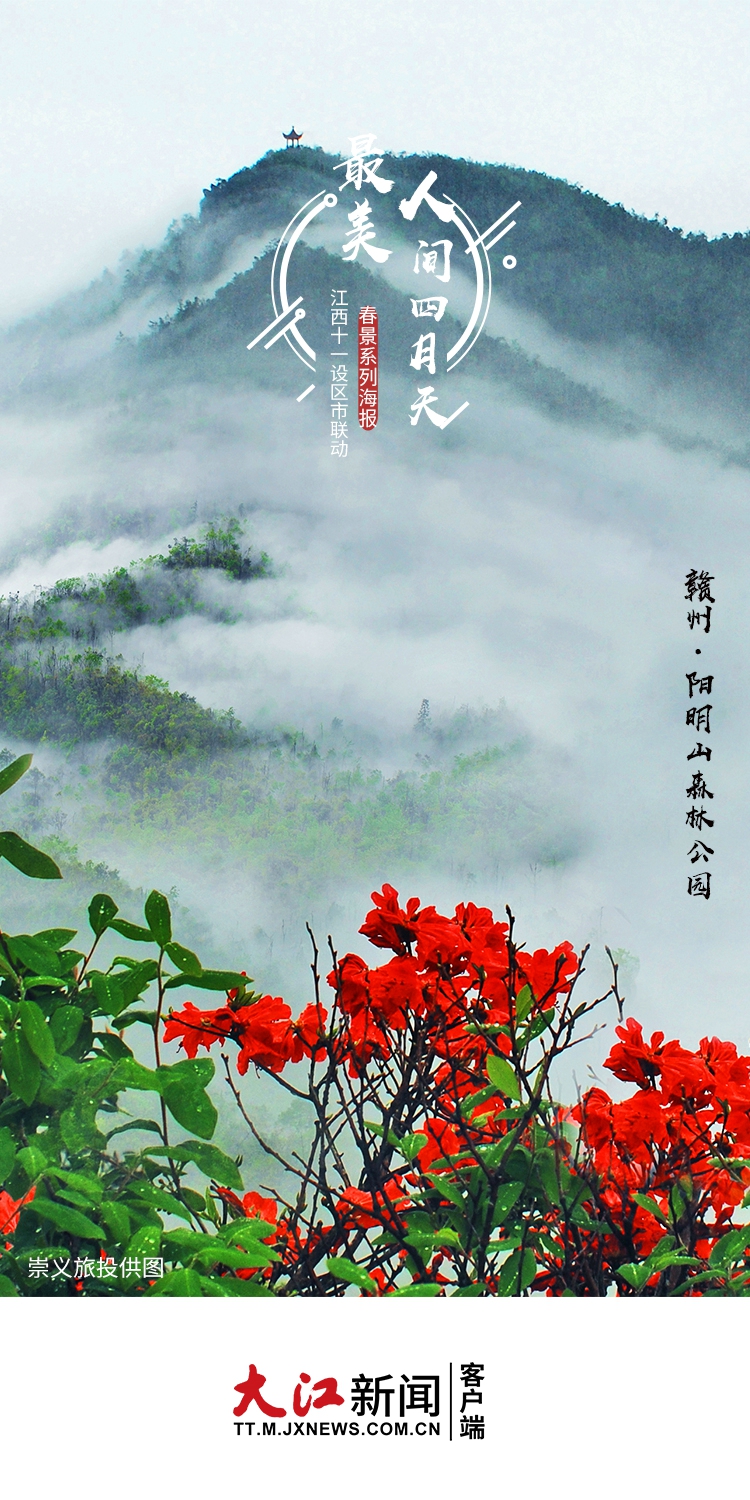 春色满园美景照,春色满屏樱花绽放