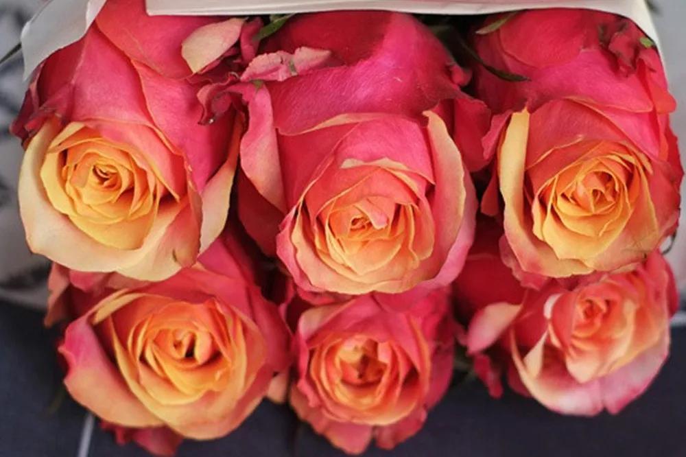 花店必备的5款玫瑰,花店常用的10款玫瑰花是哪些品种