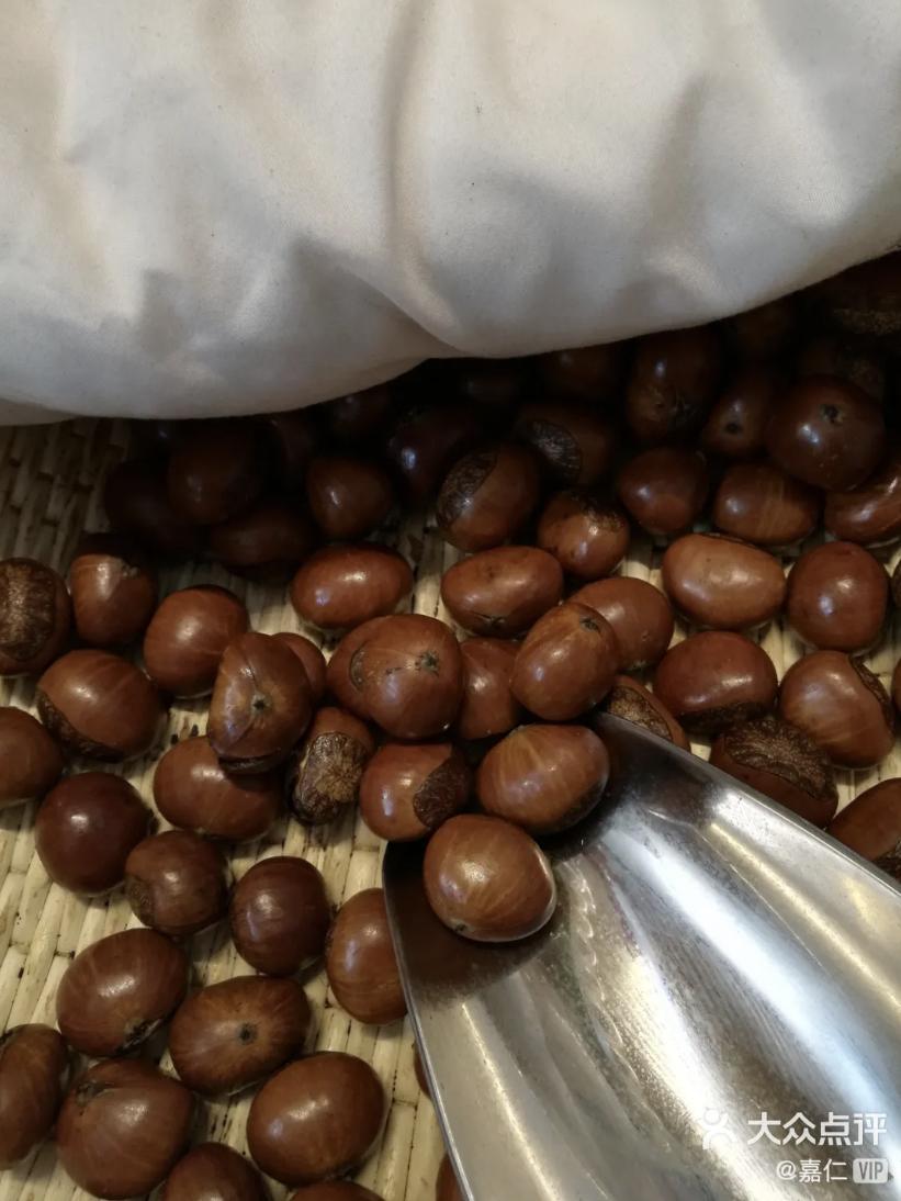 乘风破浪的天津「阿姨美食」，今日开播