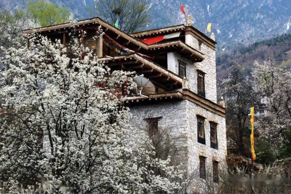 3月川西惊艳了所有人,千树万树梨花开川西