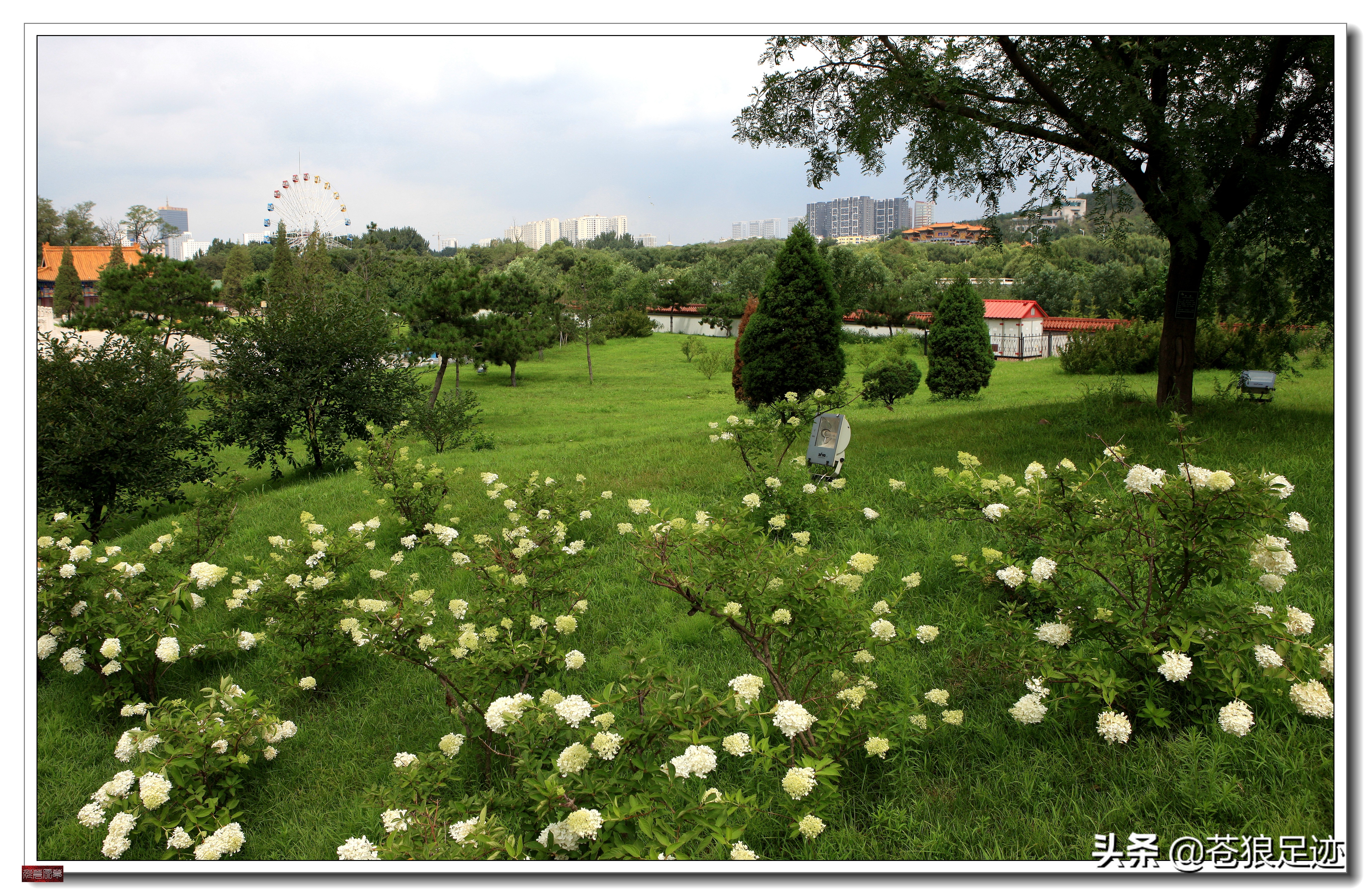 吉尼斯之最，世界第一玉石王大佛——鞍山“玉佛苑”