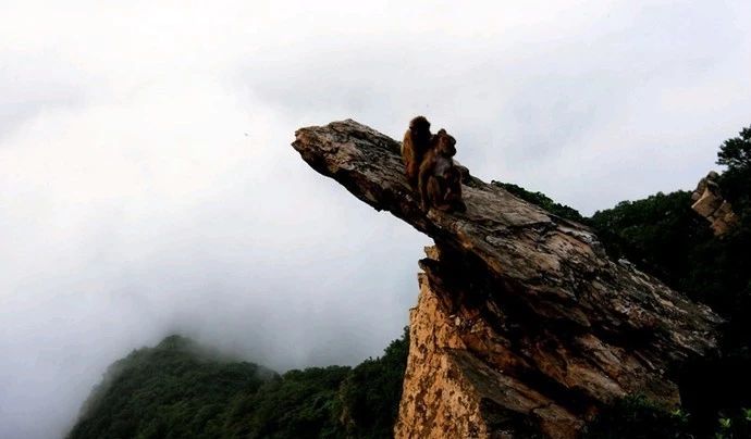 从南到北看祖国,从南到北看尽大好河山