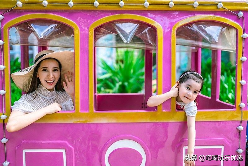 厦门灵玲动物王国大熊猫,厦门马戏团灵玲动物王国观光游览